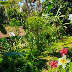 Jual Tanah Ubud JTU 1126