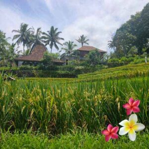 Jual Tanah Ubud JTU 1141