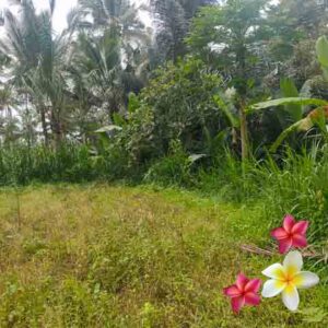 Jual Tanah Ubud JTU 1214