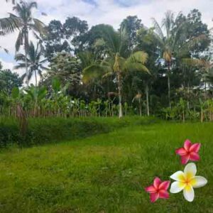 Jual Tanah Ubud JTU 1230