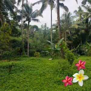 Jual Tanah Ubud JTU 1234