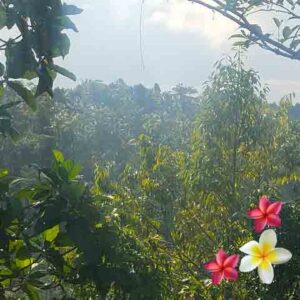 Jual Tanah Ubud JTU 1239